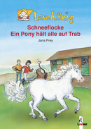 Snowflake - A Pony Keeps Everyone on the Run!