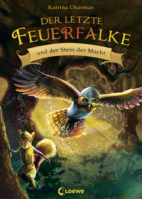 Der letzte Feuerfalke und der Stein der Macht (Band 1)