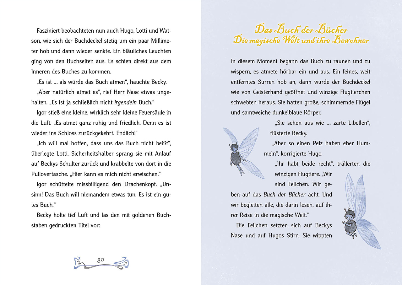 Das Bücherschloss (Band 2) - Der verzauberte Schlüssel 9783743206571_2