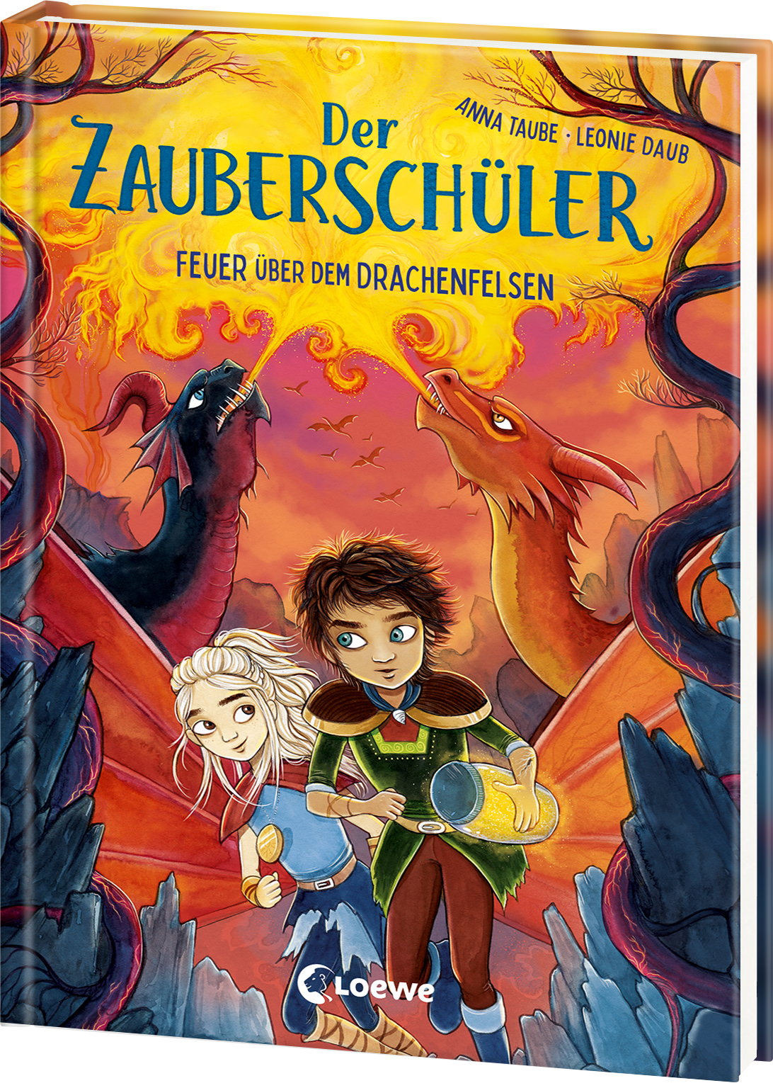 Der Zauberschüler (Band 6) - Feuer über dem Drachenfelsen 9783743217119