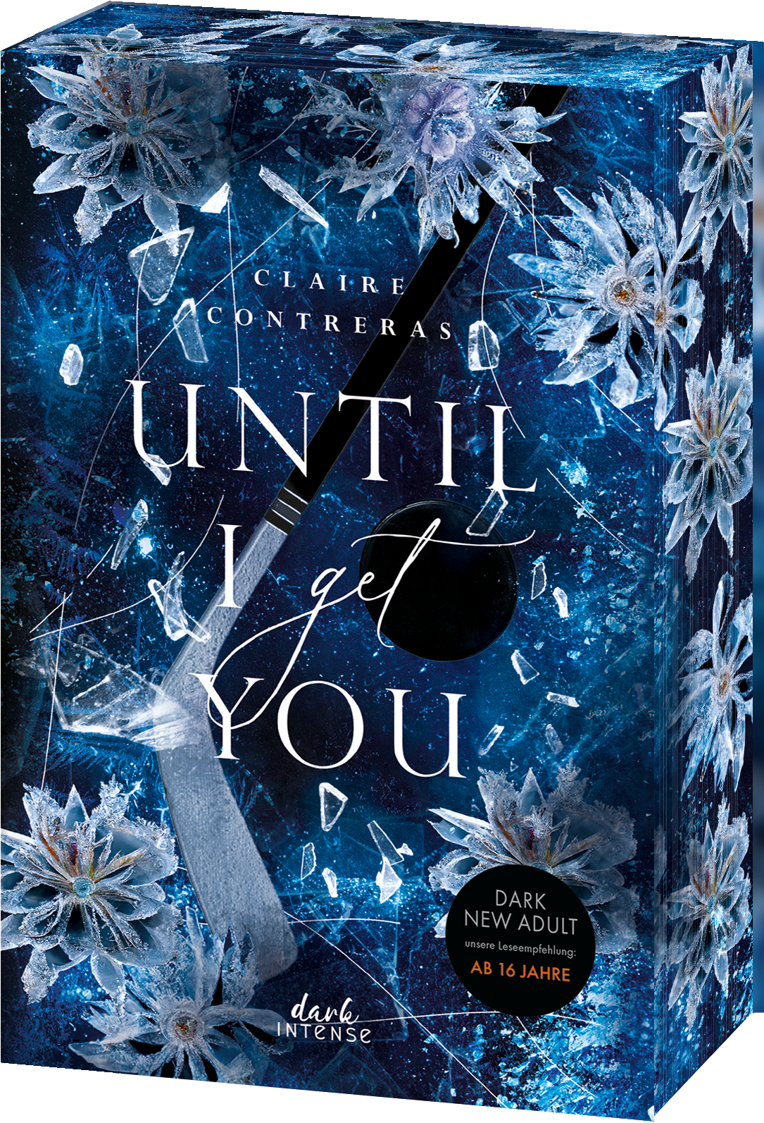 Until I Get You (Fairview Hockey, Band 1)