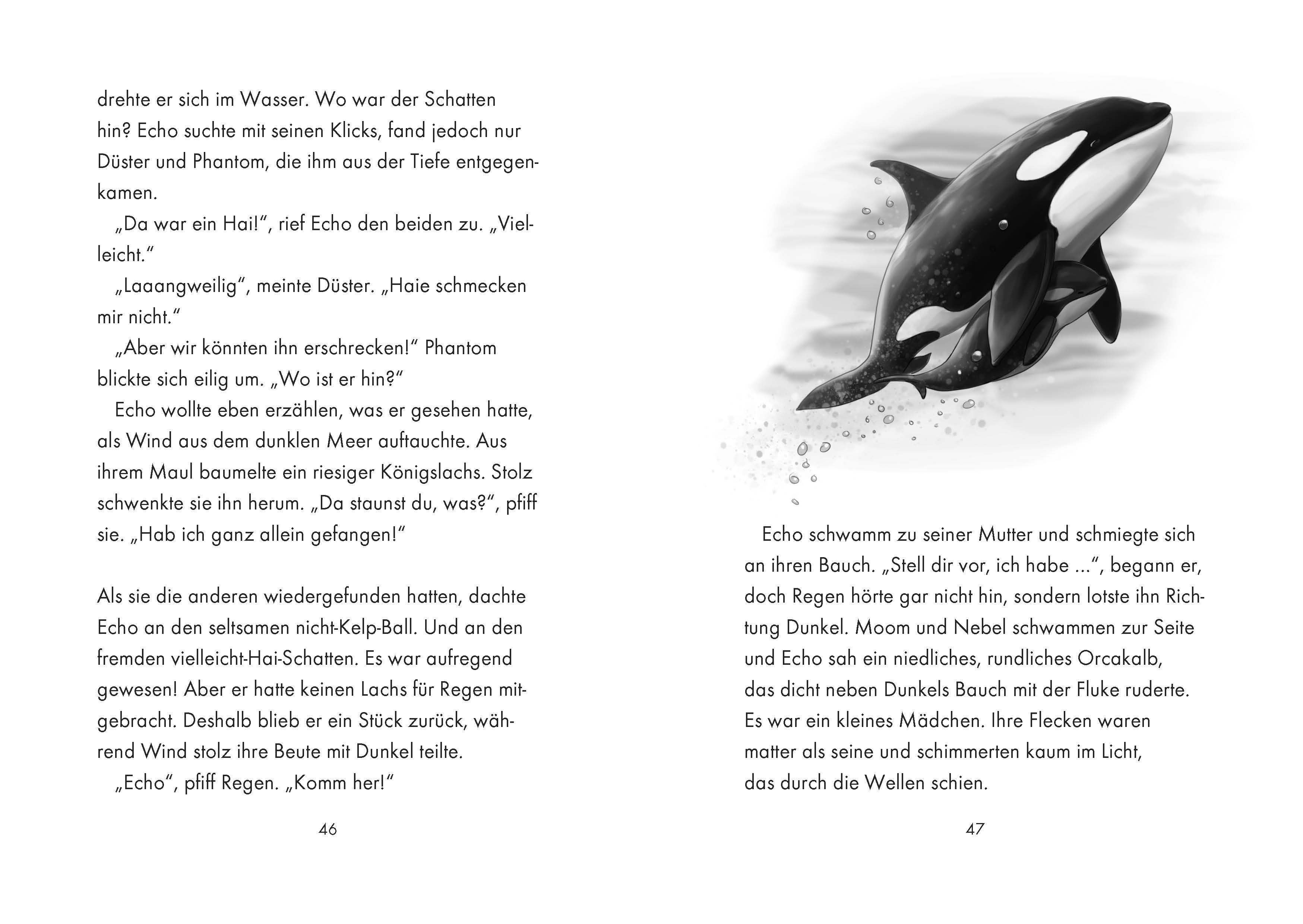 Meer; Innenseite Das Geheime Leben der Tiere