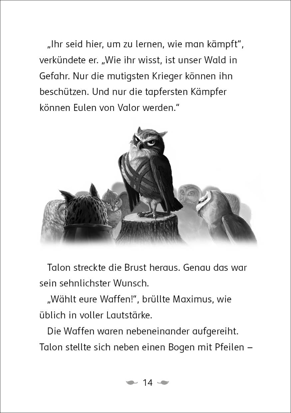 Der letzte Feuerfalke und der Stein der Macht (Band 1)  9783743208124_3