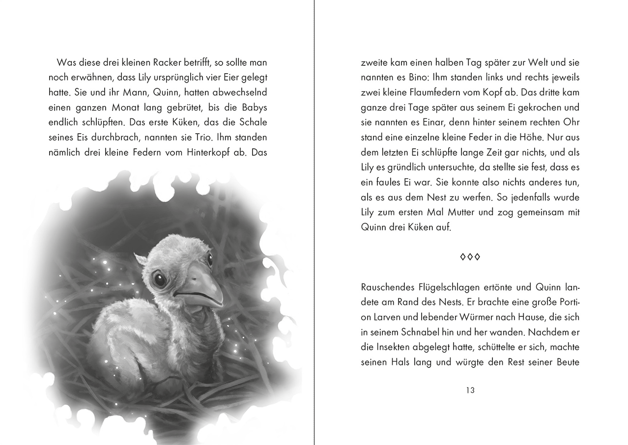 Wild Stork (Band 1) - Beschützer des Waldes 9783743222045_13