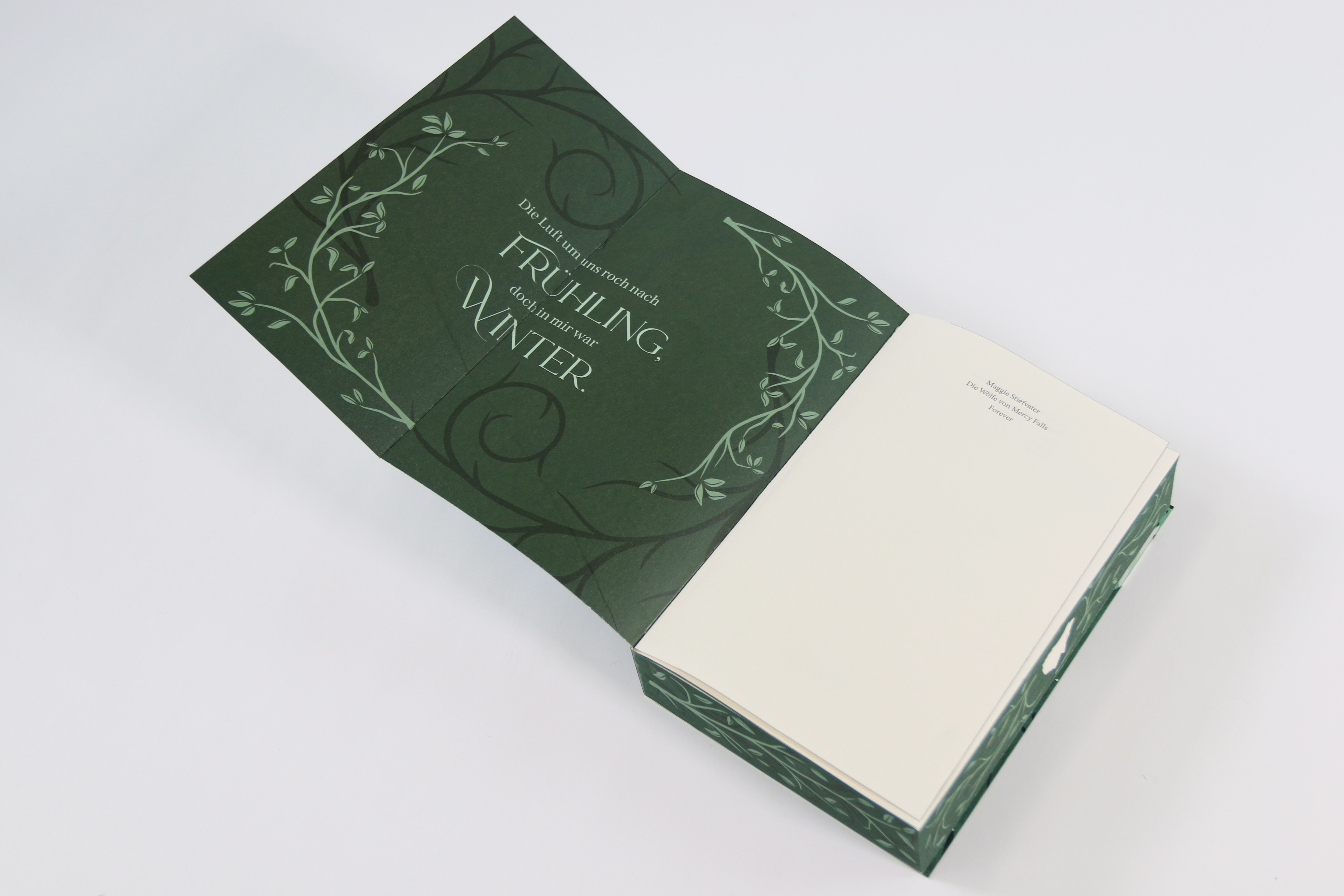 Forever (Die Wölfe von Mercy Falls, Band 3) 9783743224797_06