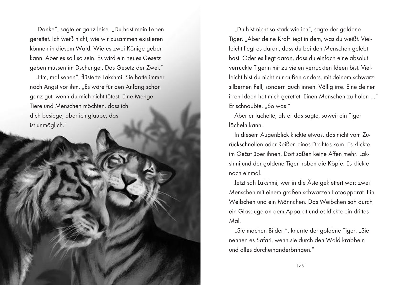 Innenseite des Buchs Die schwarze Tigerin von Peer Martin