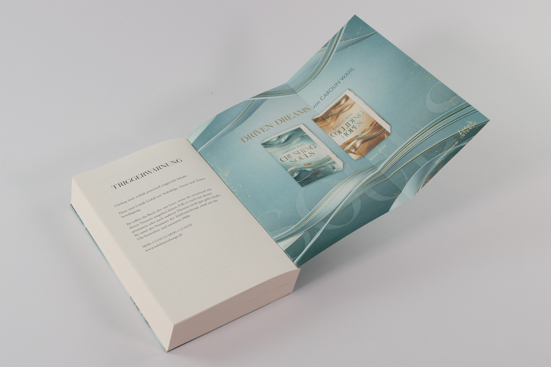 Crushing Souls (Driven Dreams-Dilogie, Band 1) 9783743221123_07