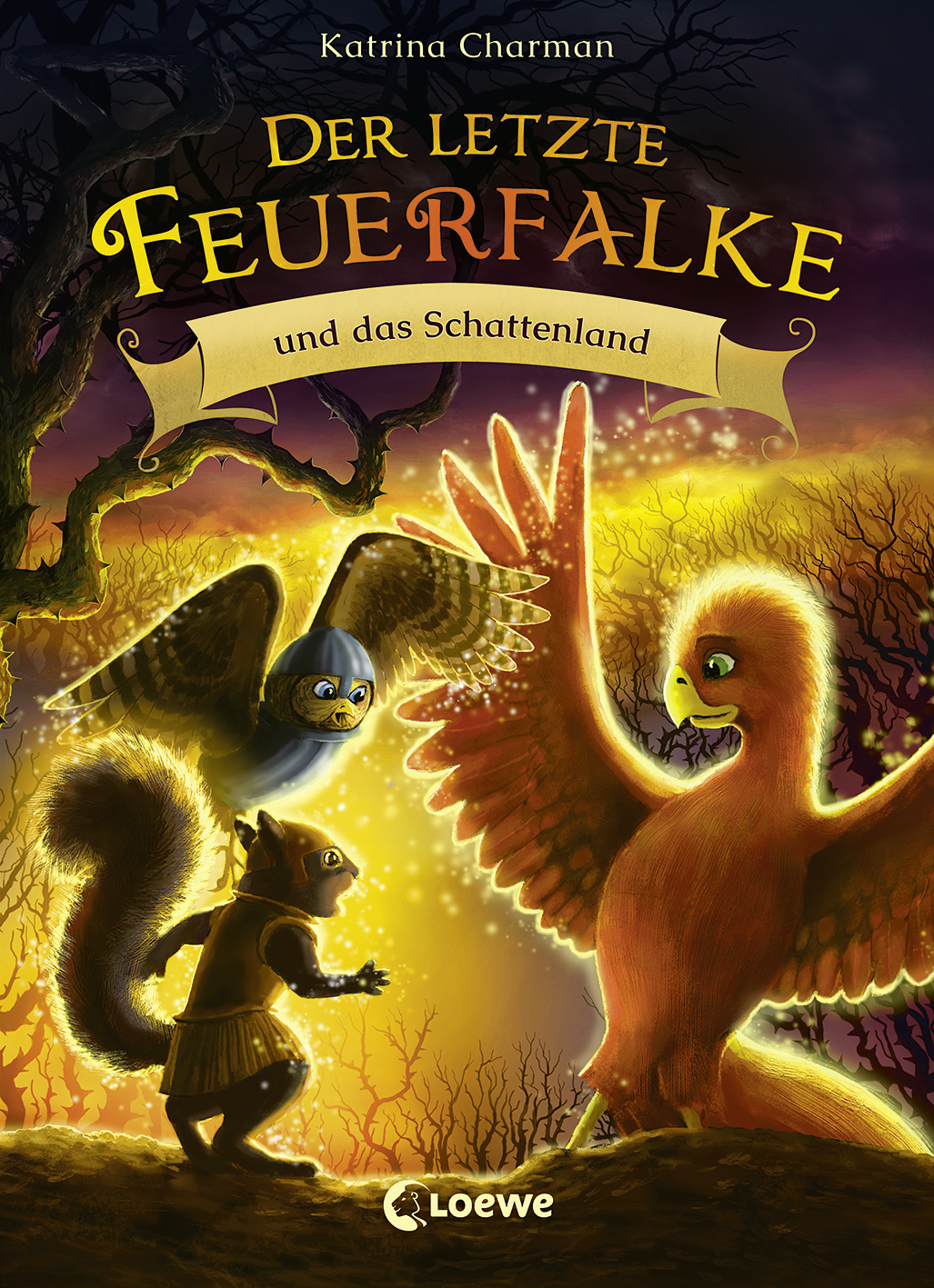 Der letzte Feuerfalke und das Schattenland (Band 5) 9783732019199