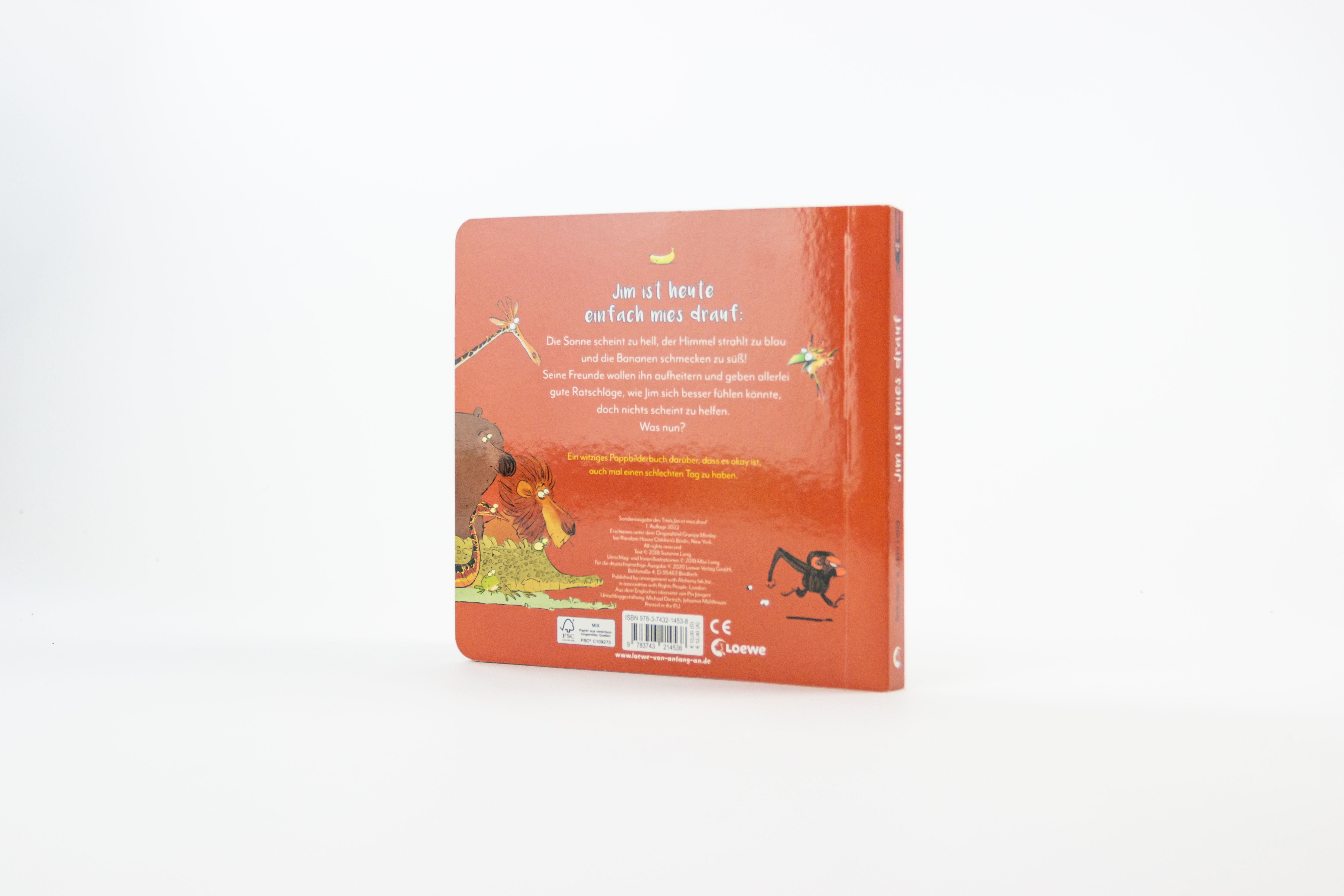 Jim ist mies drauf (Pappbilderbuch) 9783743214538_2
