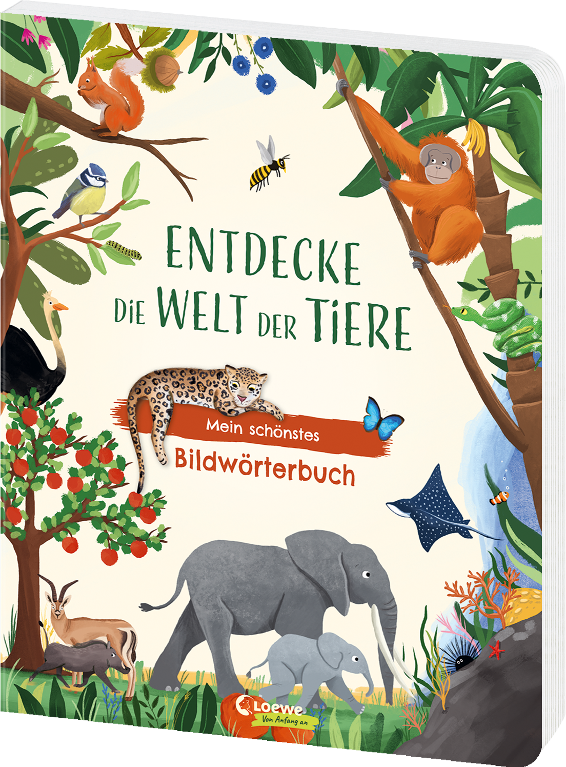Entdecke die Welt der Tiere - Mein schönstes Bildwörterbuch
