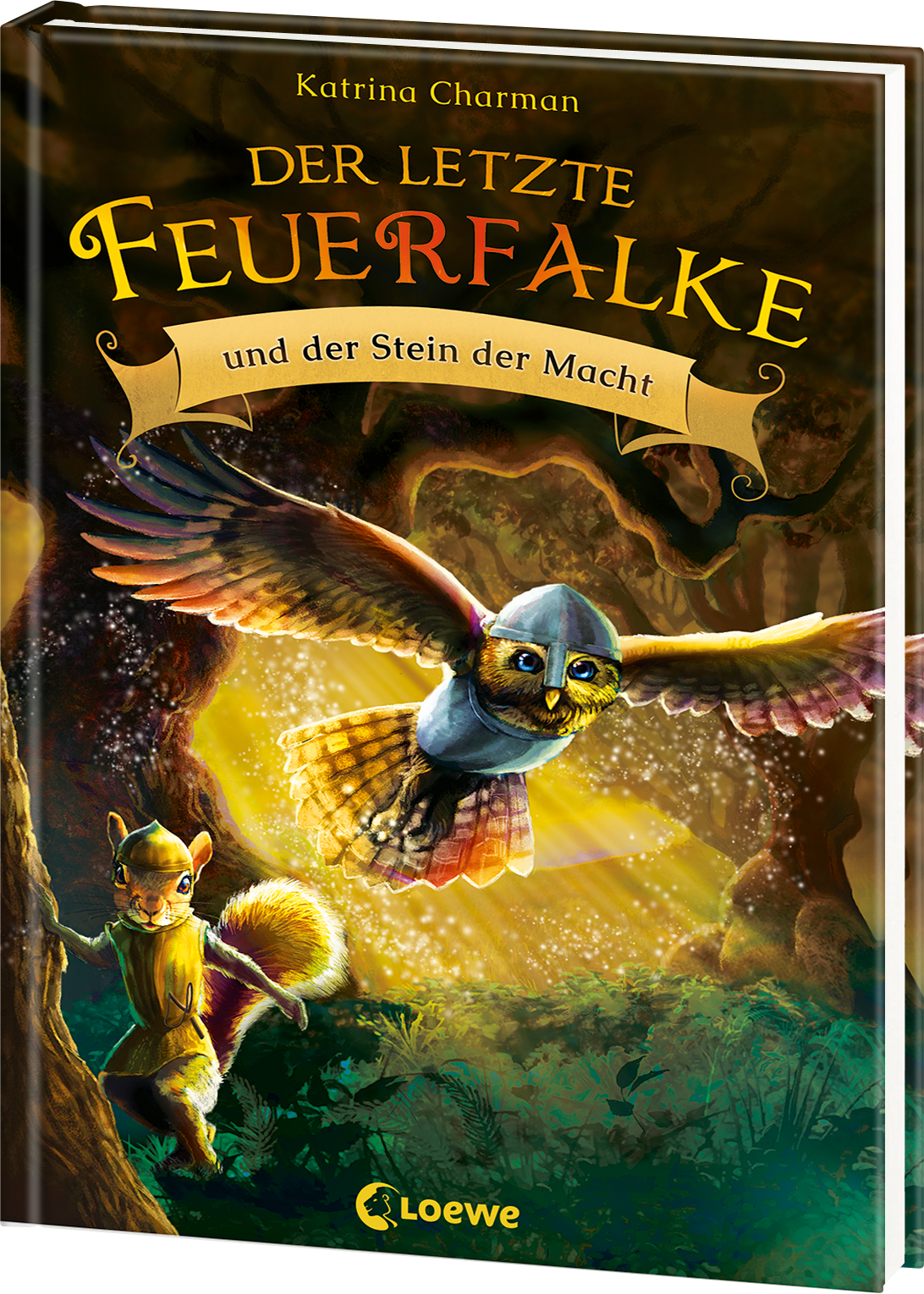 Der letzte Feuerfalke und der Stein der Macht (Band 1)  9783743208124