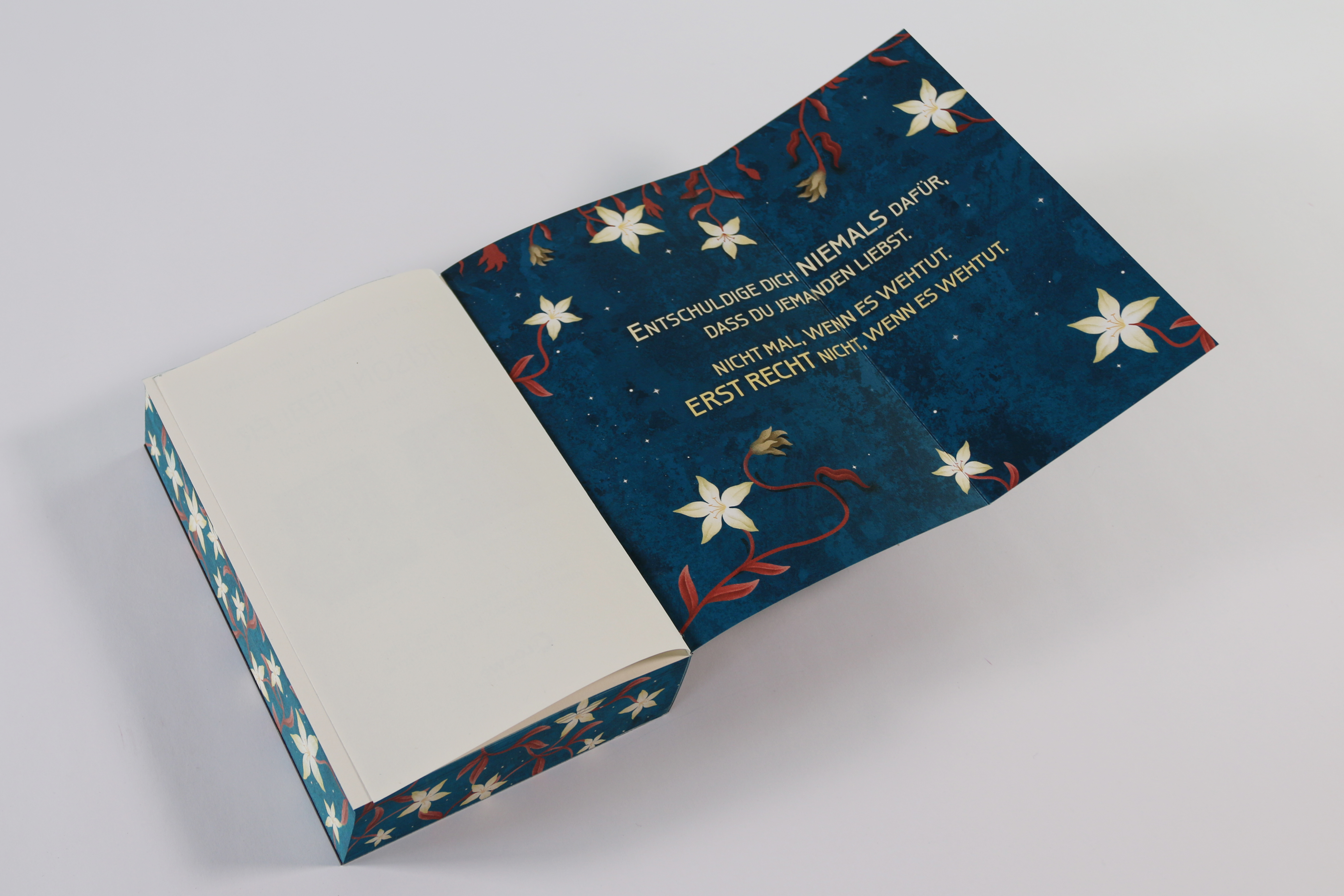 Prison Healer (Band 1) - Die Schattenheilerin 9783743225787_09