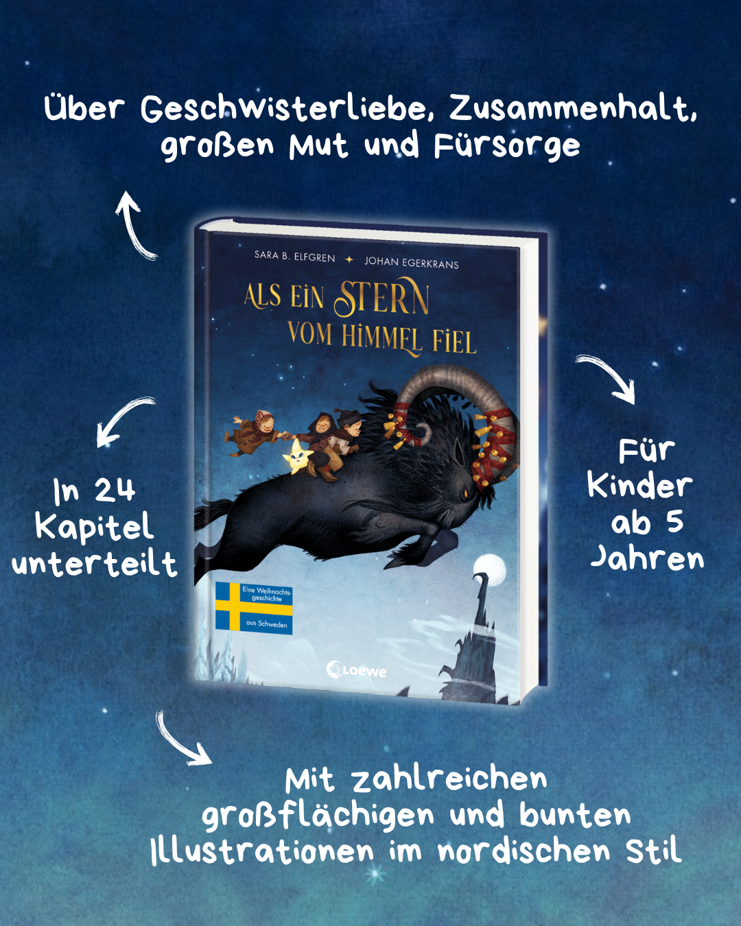 Als ein Stern vom Himmel fiel 9783743224704_03
