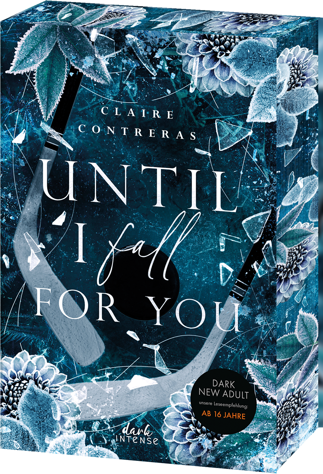 Until I Fall For You (Fairview Hockey, Band 2)