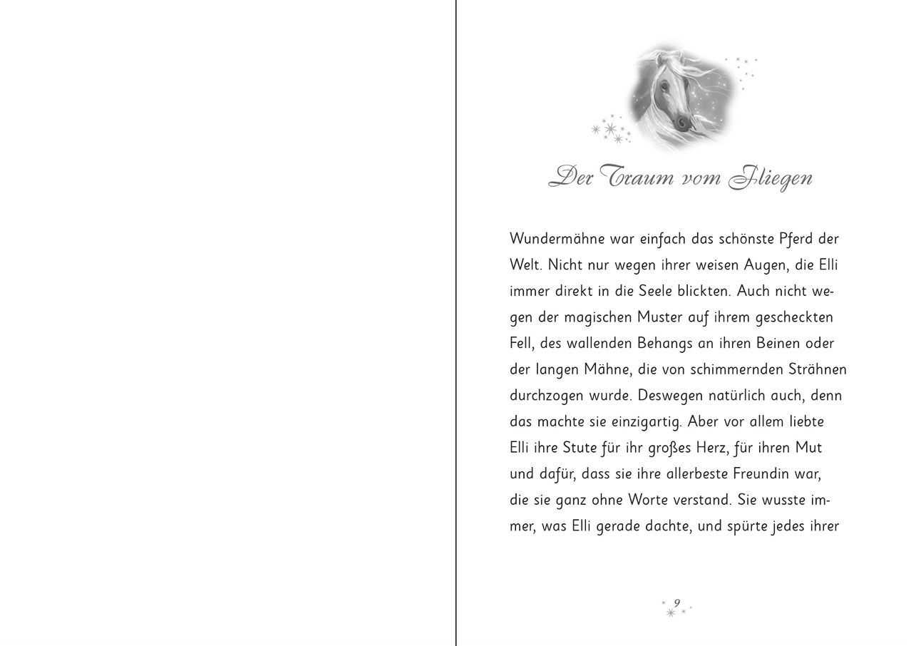 Wundermähne (Band 4) - Das goldene Wildpferd 9783743220041_11