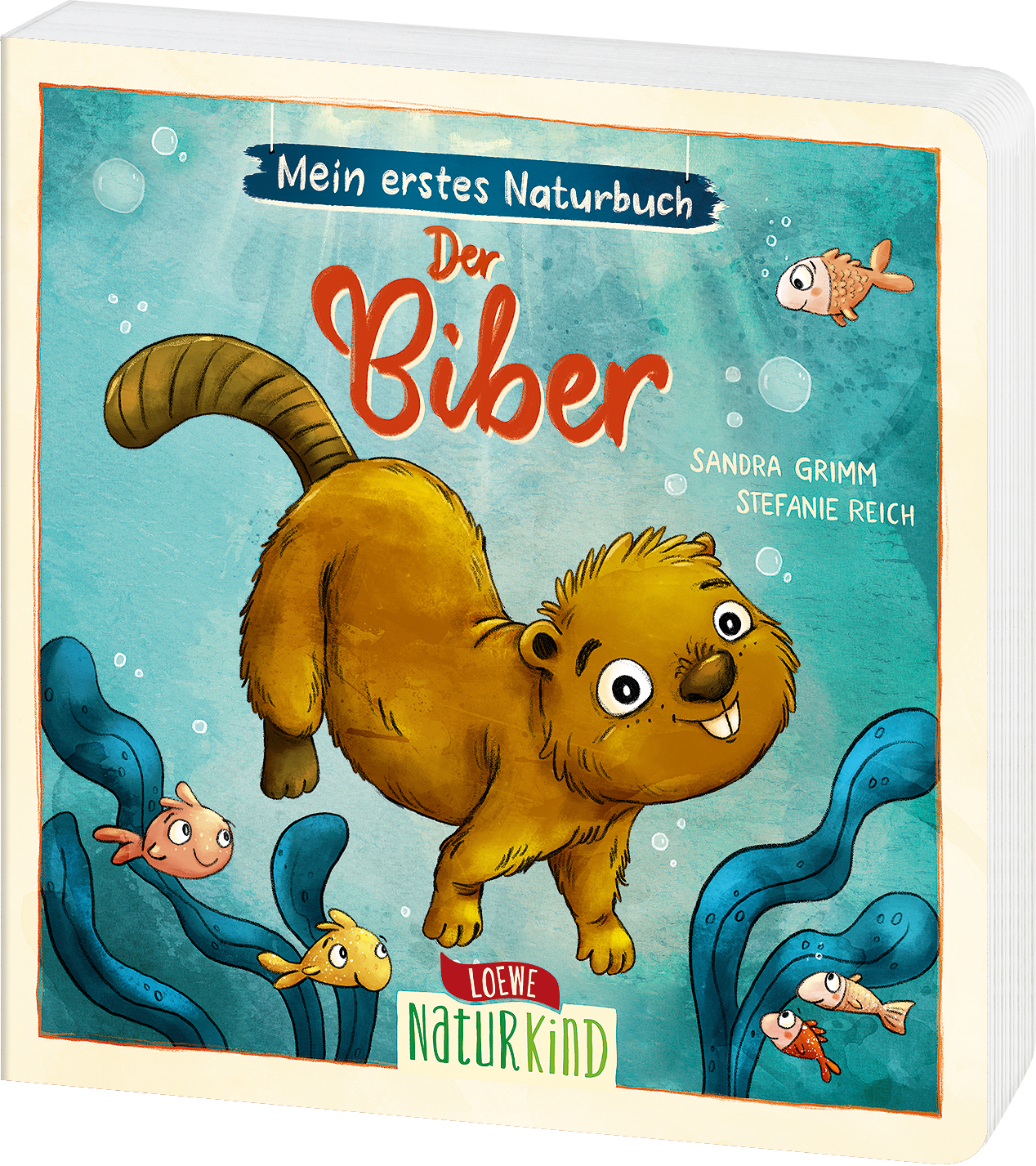 Mein erstes Naturbuch - Der Biber 9783743213180