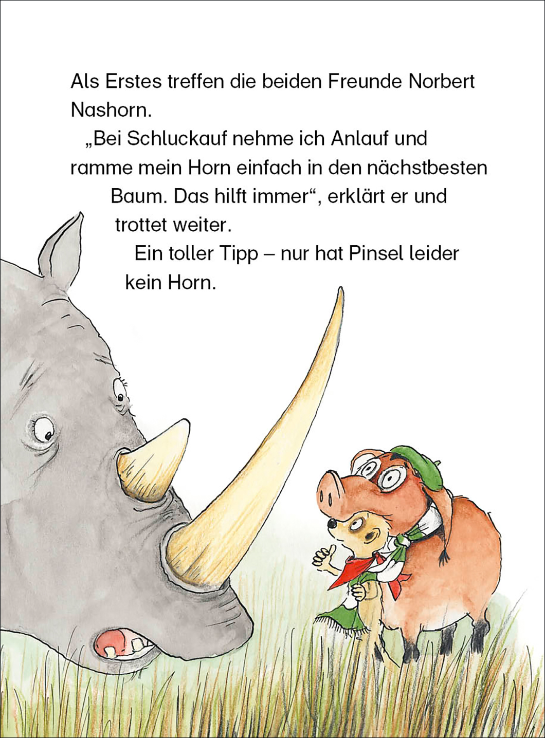 Tafiti und der große Zauberer (Band 17) 9783743207240_3