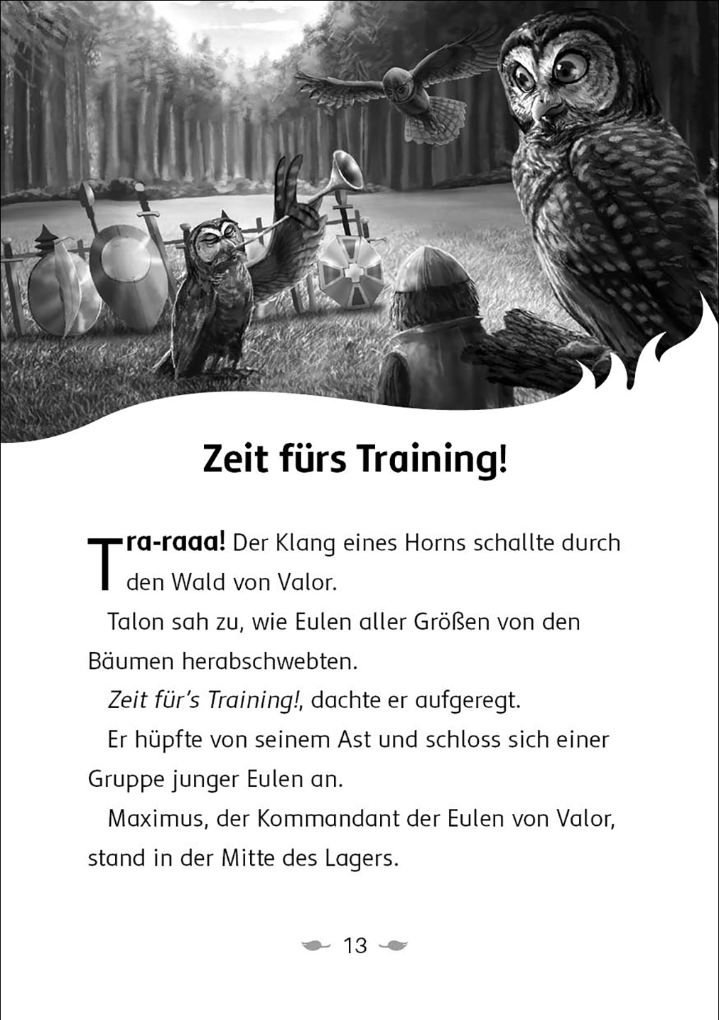 Der letzte Feuerfalke und der Stein der Macht (Band 1)  9783743208124_2