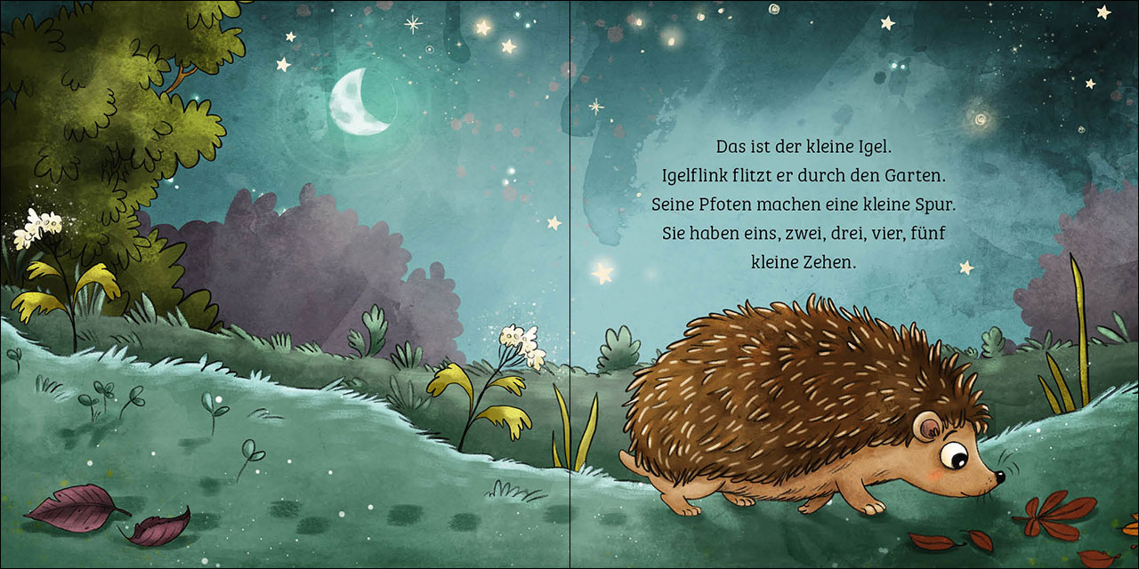 Mein erstes Naturbuch - Der Igel 9783743213159_1