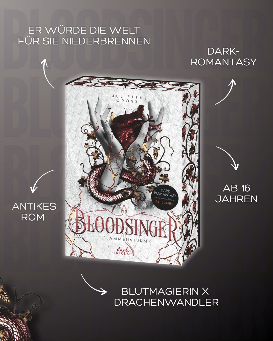 Flammensturm (Band 2) - Bloodsinger 9783743223127_03