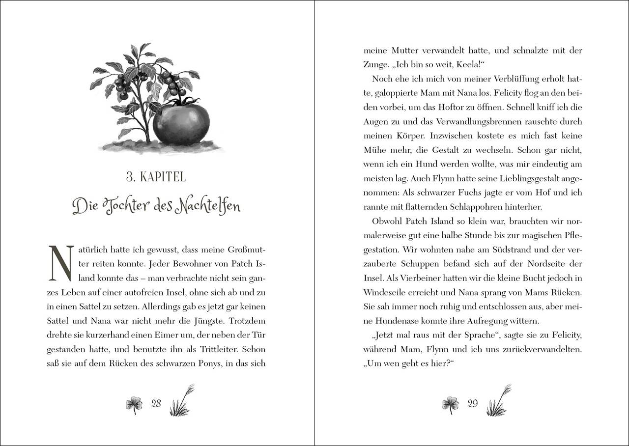 Ruby Fairygale (Band 5) - Der verbotene Zauber 9783743209534_1