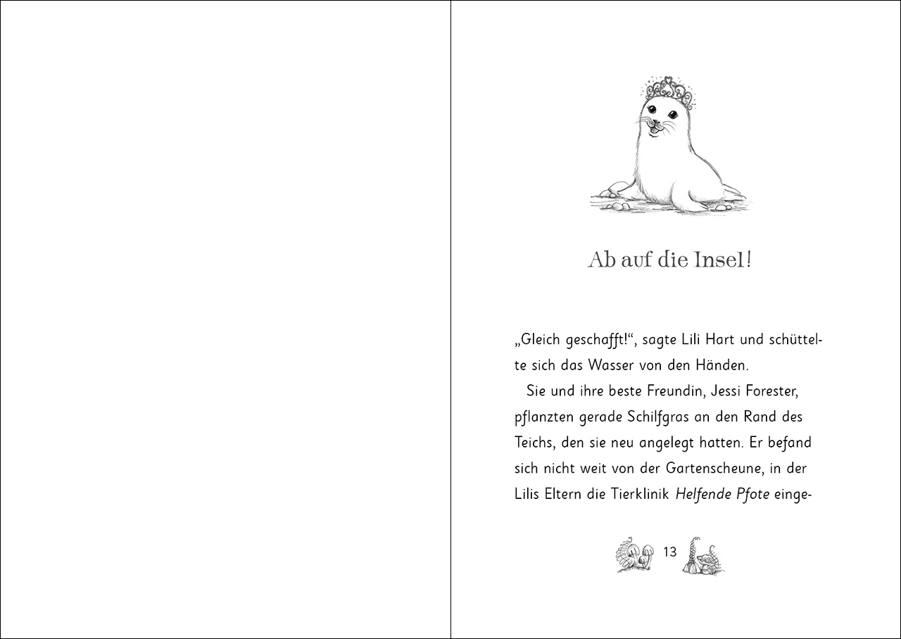 Die magischen Tierfreunde (Band 20) - Fiona Funkelflosse und das verschwundene Juwel 9783743216150_1