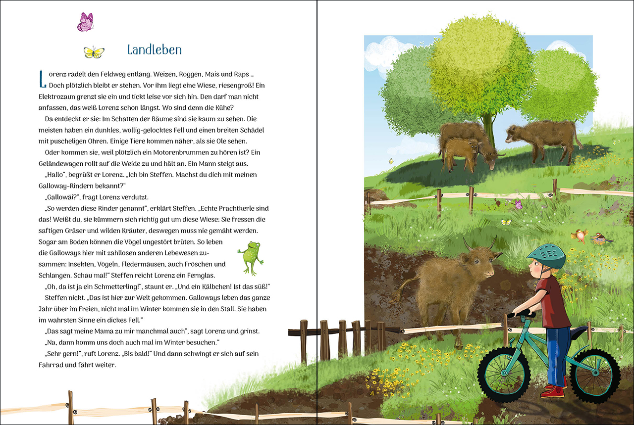 Der kleine Traumsegler (Band 3) 9783743208506_2
