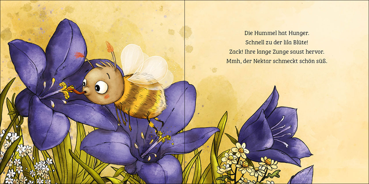 Mein erstes Naturbuch - Die Hummel 9783743213173_6