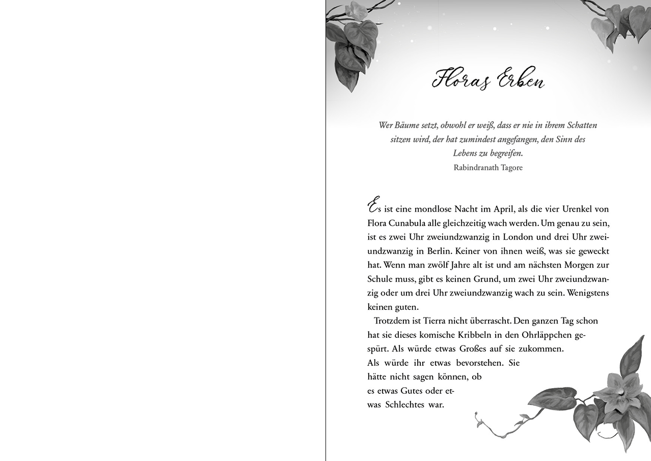 Flora Magica (Band 1) - Das Geheimnis der Nachtschatten 9783743217508_05