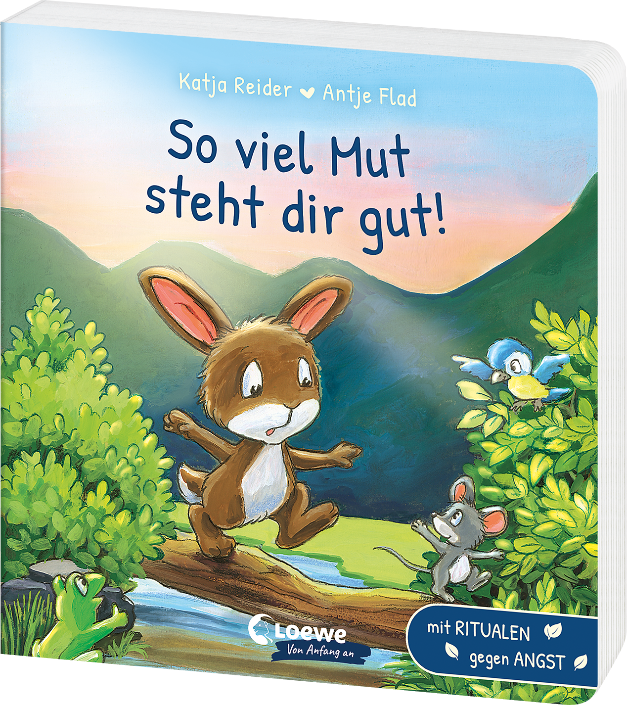 So viel Mut steht dir gut! 9783743210400