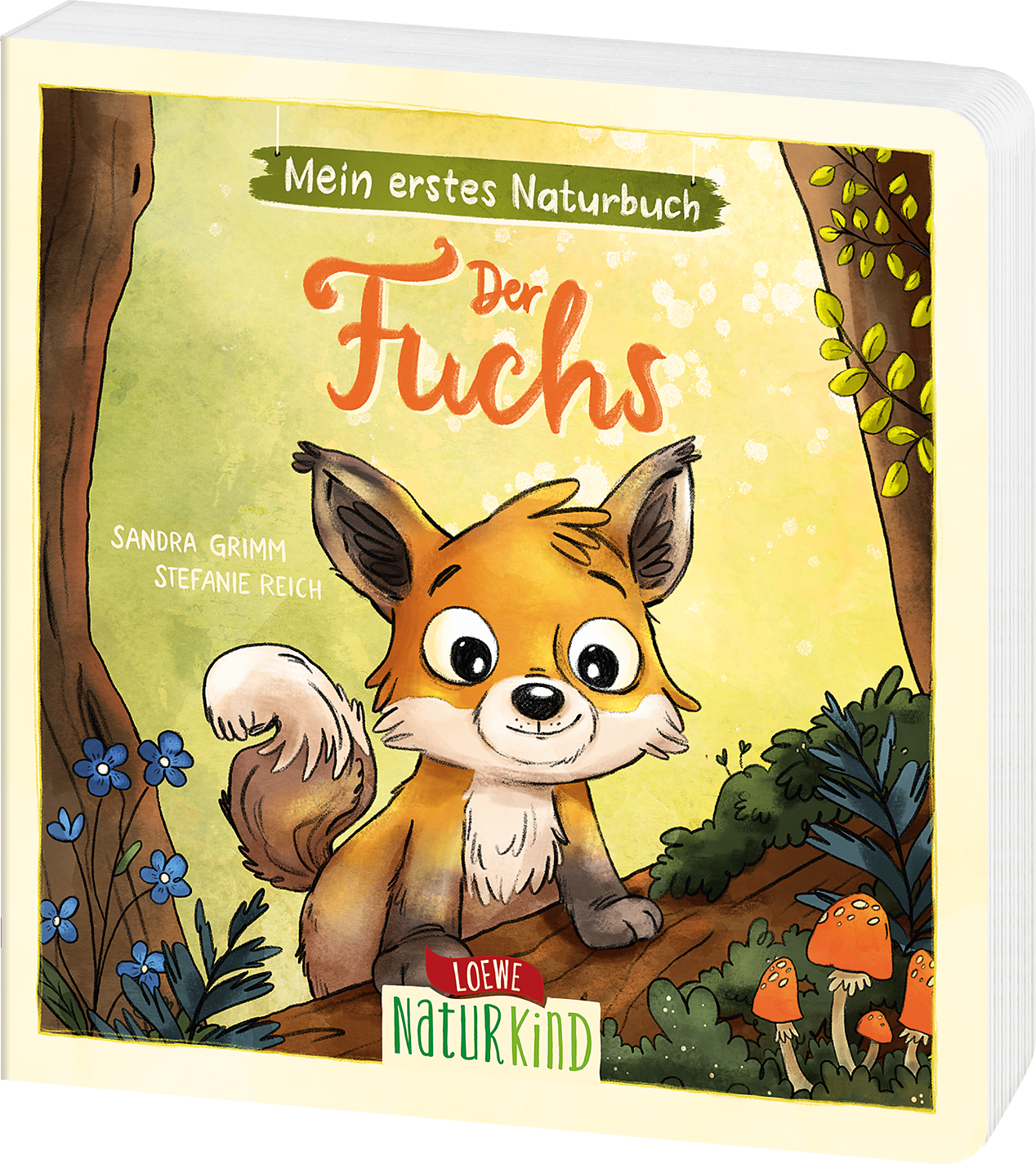 Mein erstes Naturbuch - Der Fuchs 9783743218635