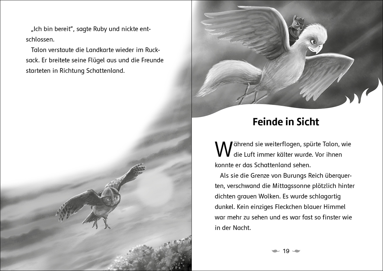 Der letzte Feuerfalke und das Schattenland (Band 5) 9783743214651_4