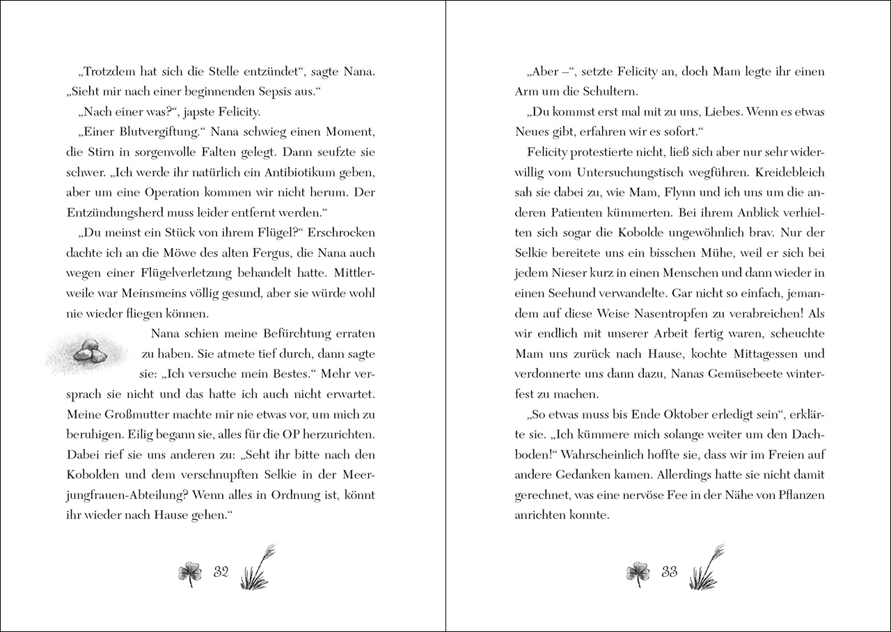 Ruby Fairygale (Band 5) - Der verbotene Zauber 9783743209534_3