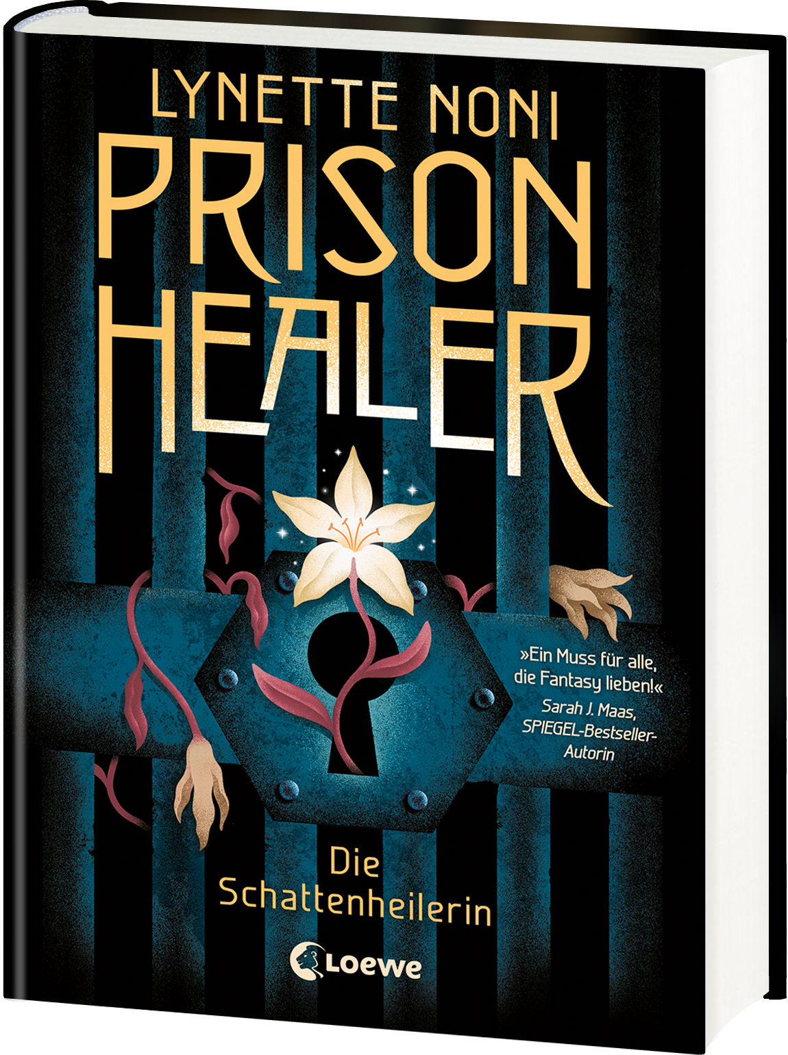 Prison Healer (Band 1) - Die Schattenheilerin 9783743209862