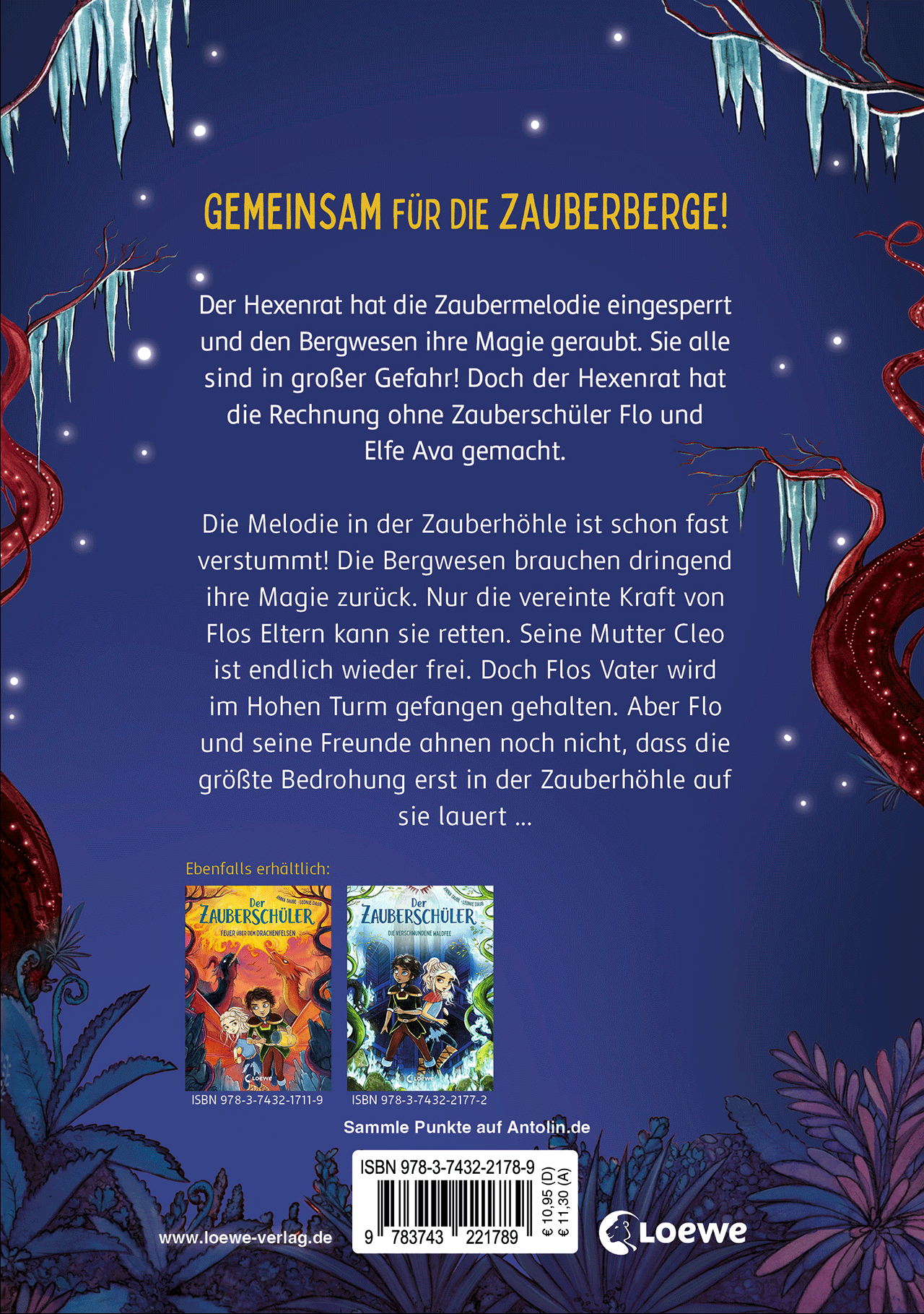Der Zauberschüler (Band 8) - Im Netz der kalten Magie 9783743221789_01