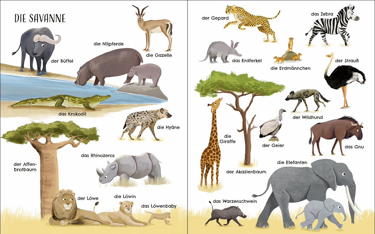 Entdecke die Welt der Tiere - Mein schönstes Bildwörterbuch 9783743221109_06