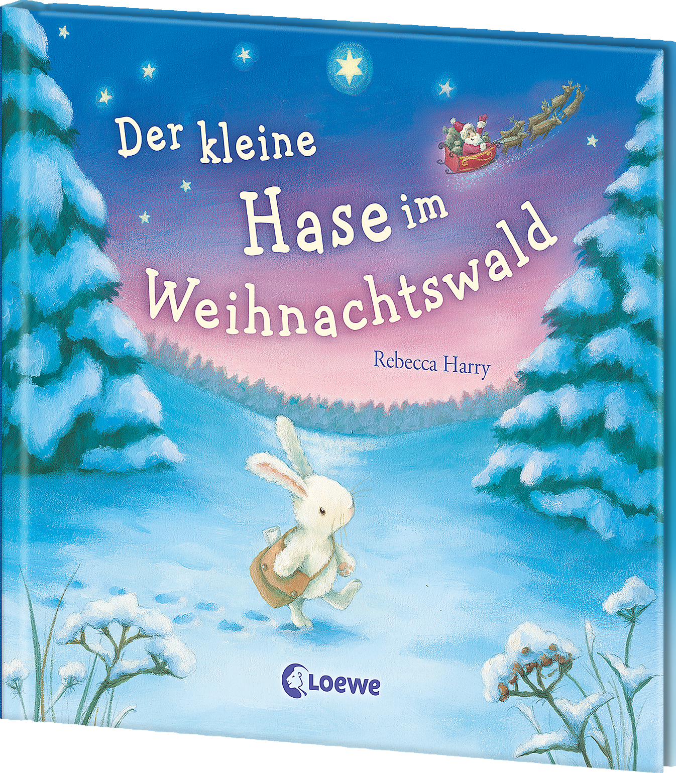 Der kleine Hase im Weihnachtswald 9783743211544 Der kleine Hase im Weihnachtswald 9783743211544