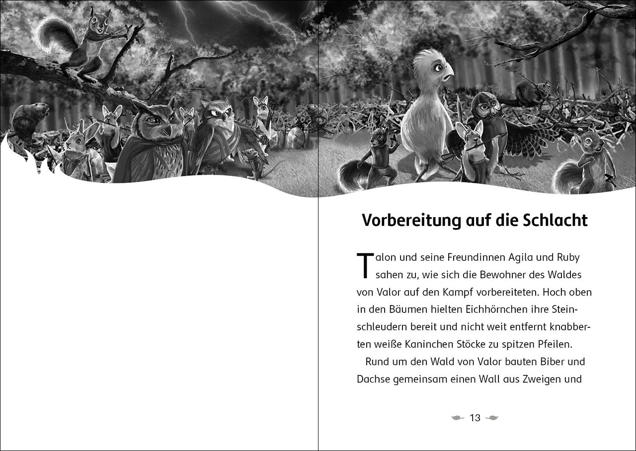 Der letzte Feuerfalke und die dunkle Magie (Band 6) 9783743214668_2 Der letzte Feuerfalke und die dunkle Magie (Band 6) 9783743214668_2