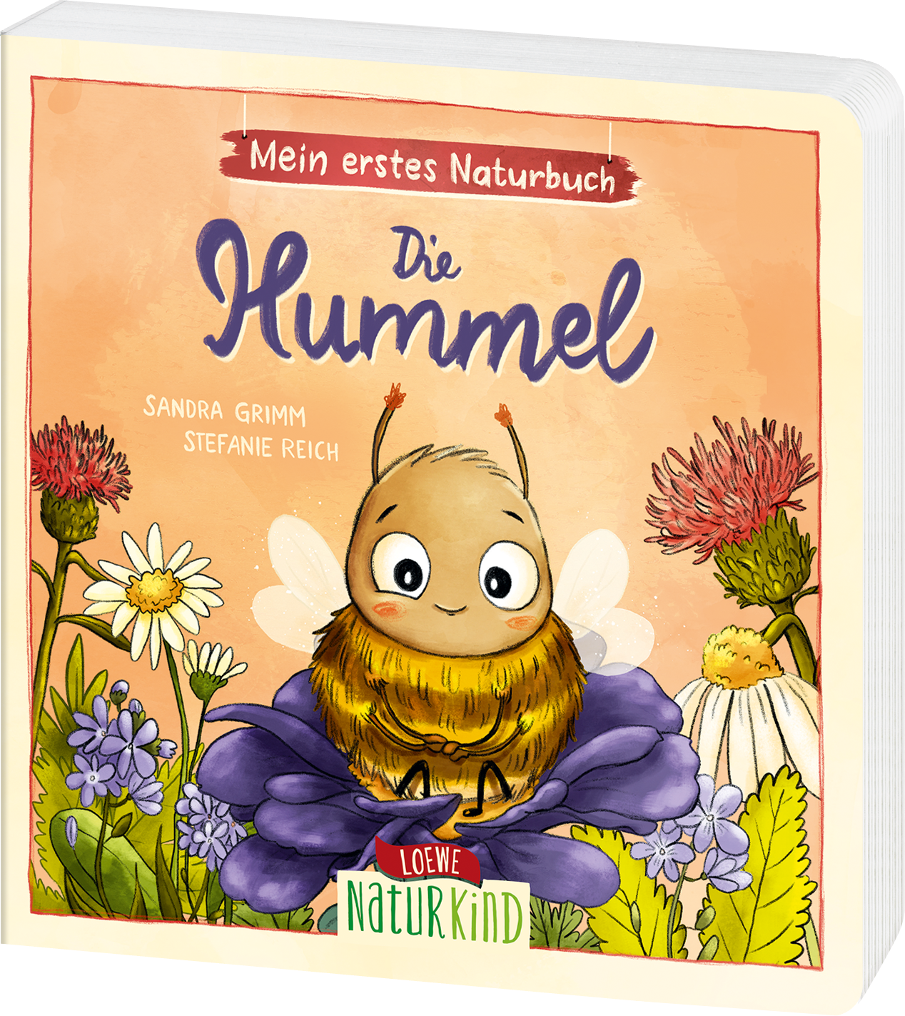 Mein erstes Naturbuch - Die Hummel 9783743213173 Mein erstes Naturbuch - Die Hummel 9783743213173