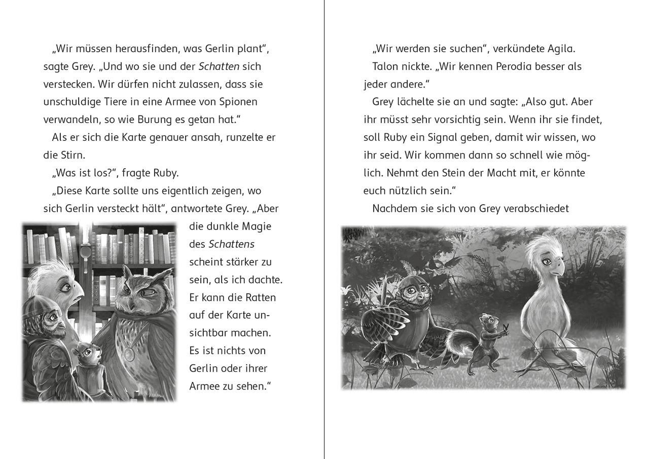 Der letzte Feuerfalke und die Rückkehr des Schattens (Band 12) 9783743220386_12