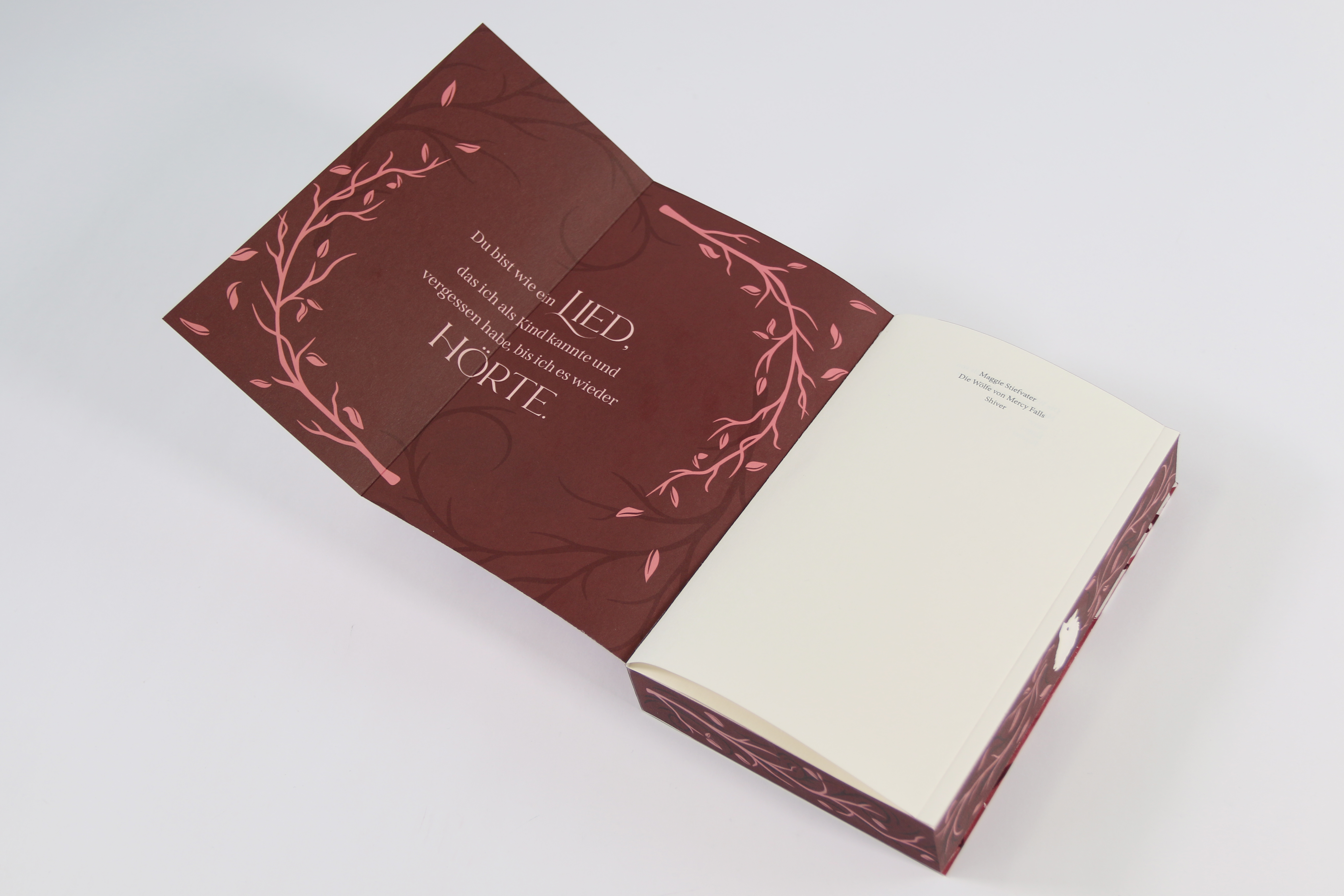 Shiver (Die Wölfe von Mercy Falls, Band 1) 9783743224773_06