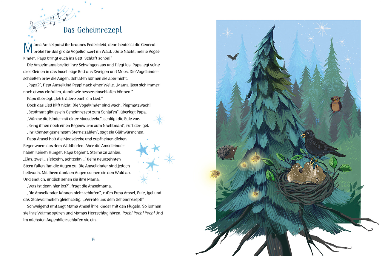 Der kleine Traumsegler (Band 4) 9783743208513_2