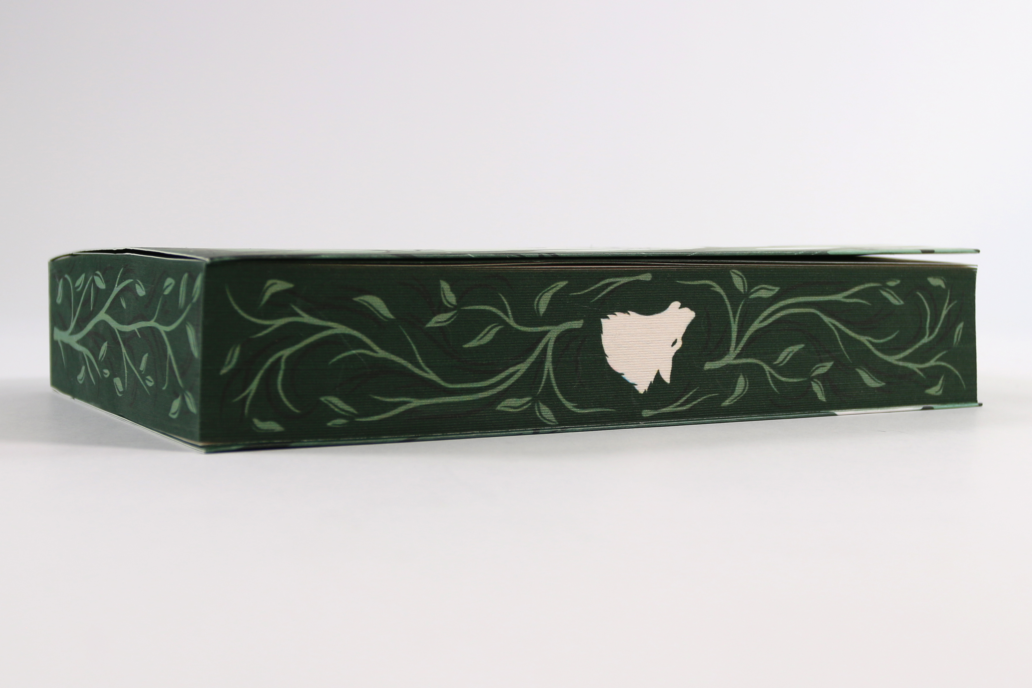 Forever (Die Wölfe von Mercy Falls, Band 3) 9783743224797_05