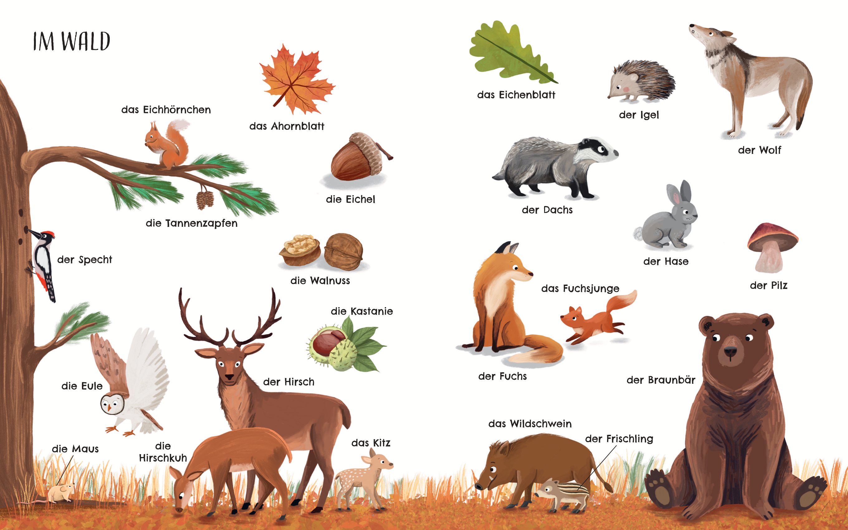 Innenseite des Buches "Entdecke die Welt der Tiere - Mein schönstes Bildwörterbuch"