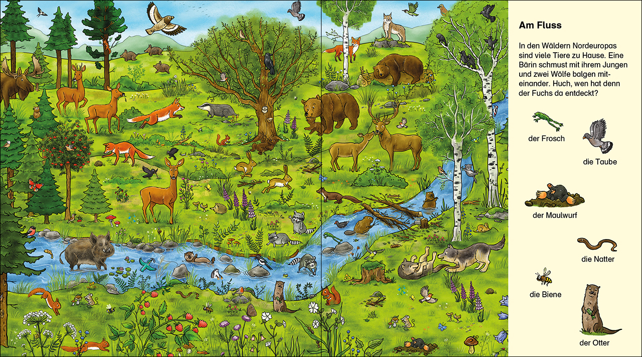 Suche und finde! - Wilde Tiere 9783743215337_1 Suche und finde! - Wilde Tiere 9783743215337_1