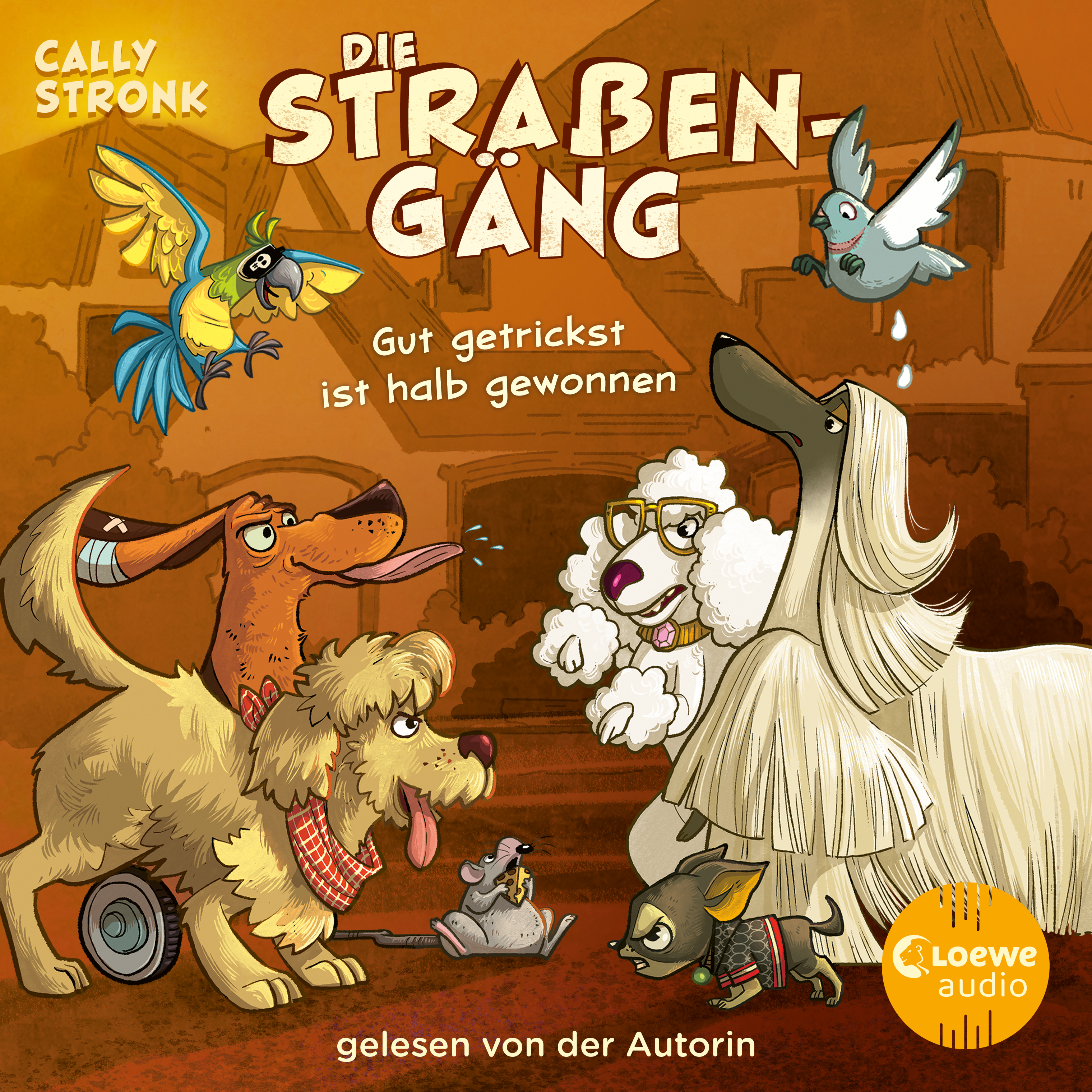 Die Straßengäng (Band 2) - Gut getrickst ist halb gewonnen 9783689580216