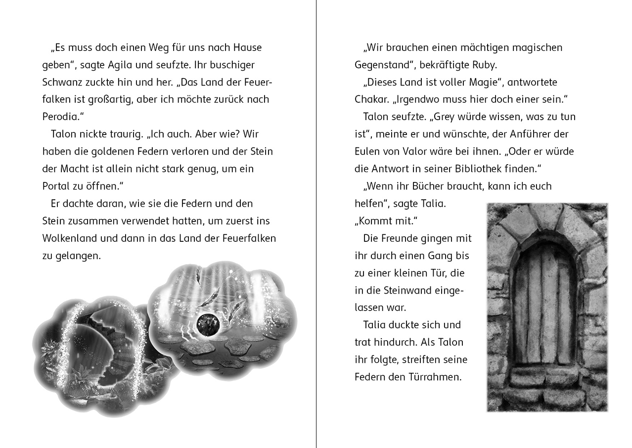 Der letzte Feuerfalke und das geheime Labyrinth (Band 10) 9783743217584_06