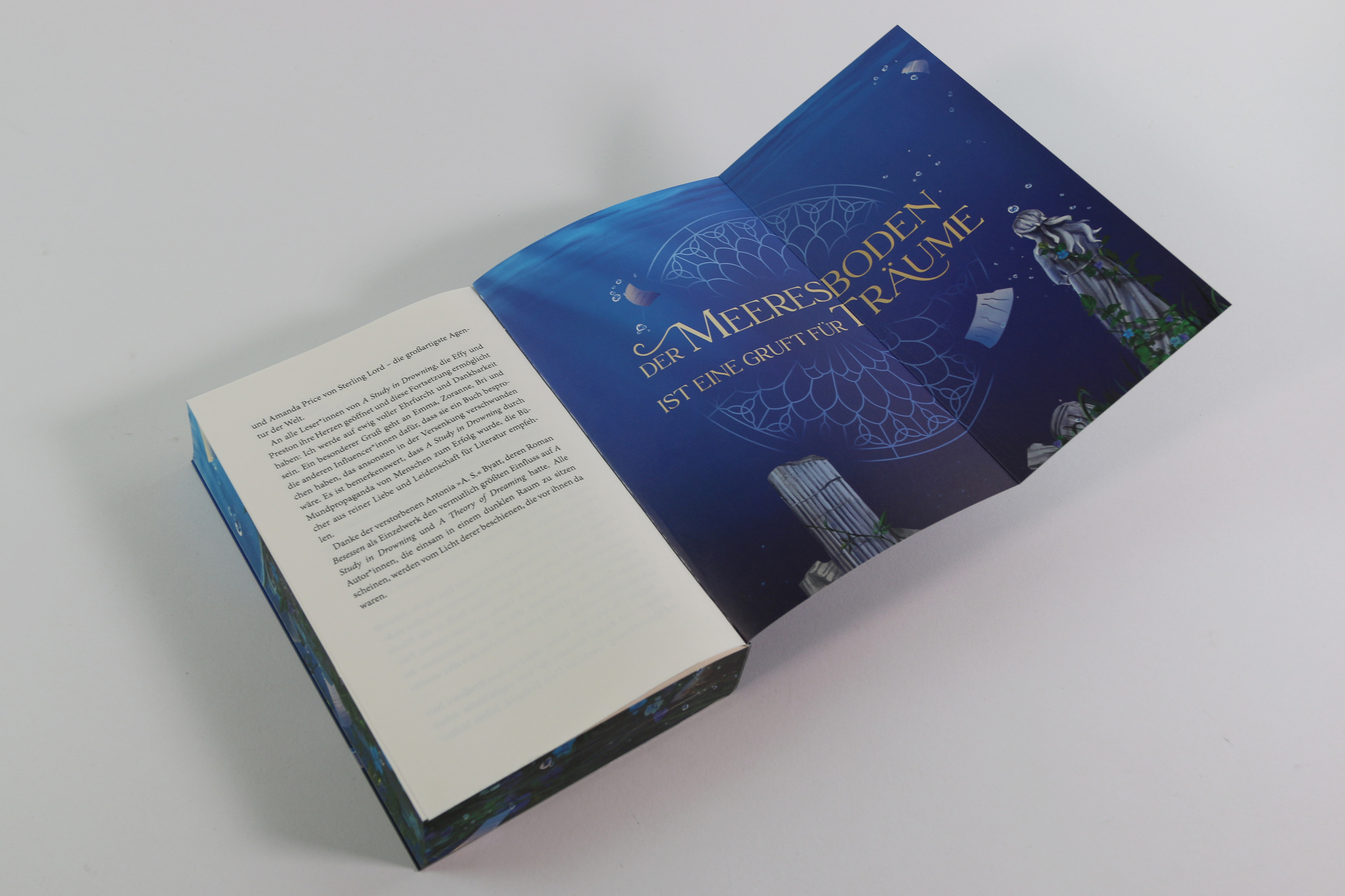 A Theory of Dreaming (A Study in Drowning, Band 2) 9783743223042_08