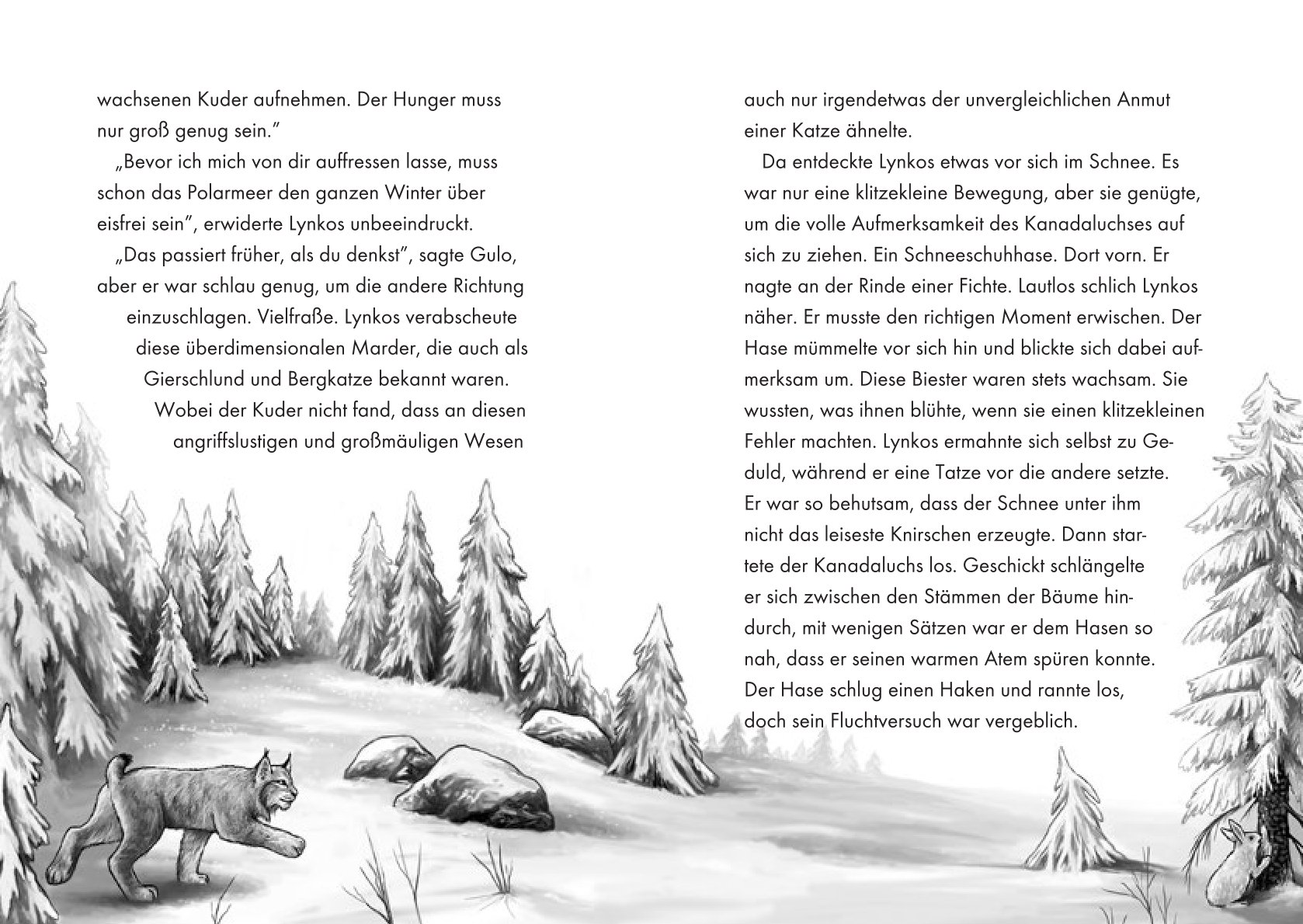 Innenseite des Buches Das Geheimnis der Luchse von Anna Lisa Kiesel
