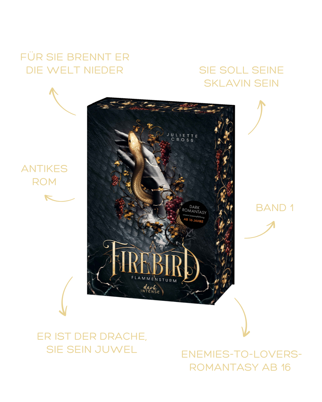 Dark Romance; Coverreveal Firebird Cover von Firebird mit Tropes und Altersangabe